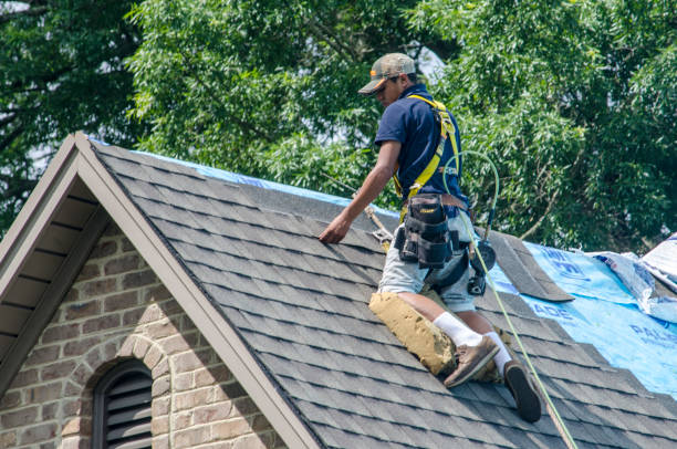 Best Metal Roofing Contractor  in Gerald, MO